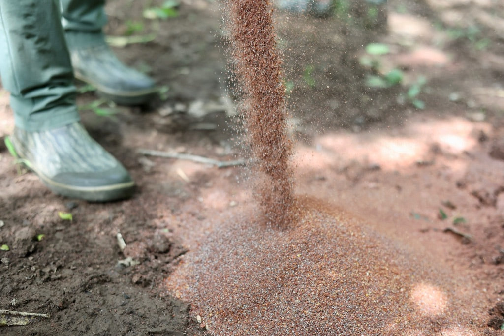 Whitetail Mash Ignite Deer Mineral