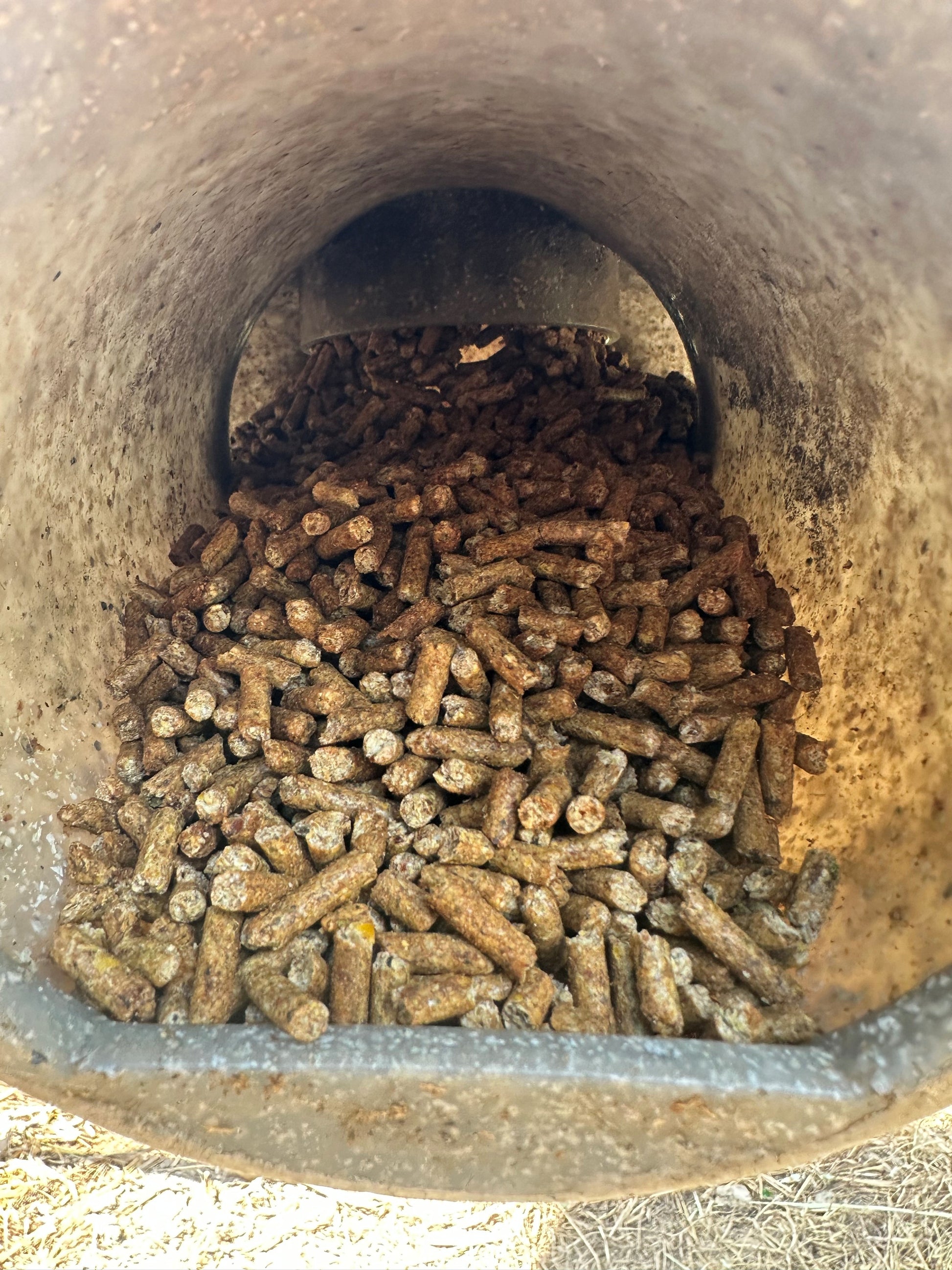 Whitetail Mash Pursuit Deer Feeder Pellet